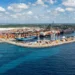 Manglares de Boca Chica alcanzan 86 % de supervivencia