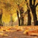 Diez poemas de otoño: ‘Una decadencia de hermosura’