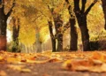 El equinoccio de otoño de 2026 ocurrirá este martes 22 de septiembre a las 8:06 p. m. en la República Dominicana