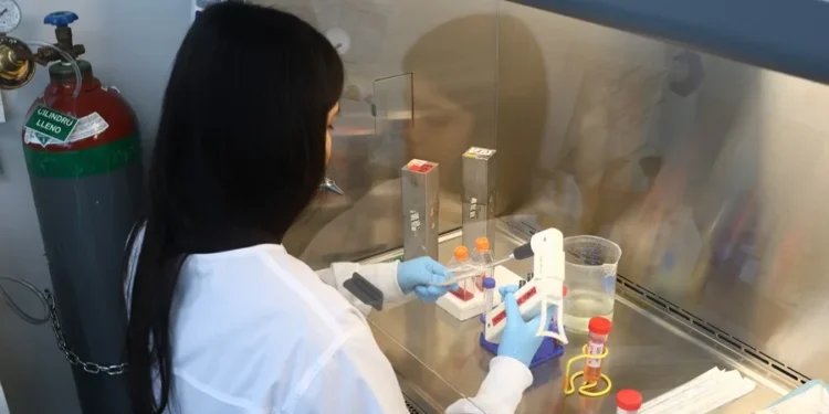 El sargazo, de plaga que lastra el turismo a una prometedora arma contra la malaria más letal