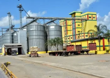 Una factoría de arroz cuesta hasta 500 millones de dólares