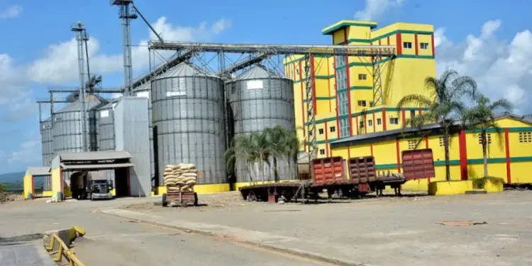 Una factoría de arroz cuesta hasta 500 millones de dólares