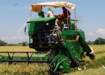 Comerciantes e industriales instan al Gobierno elaborar plan de respuesta sobre el arroz