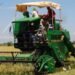 Comerciantes e industriales instan al Gobierno elaborar plan de respuesta sobre el arroz