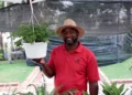 El negocio verde que gana terreno en República Dominicana