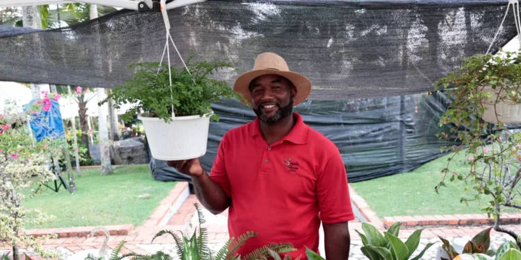 El negocio verde que gana terreno en República Dominicana