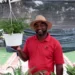 El negocio verde que gana terreno en República Dominicana