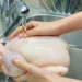 ¿Eres todavía de los que lava el pollo antes de cocinarlo? Estás en peligro