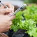 Científicos crean una lechuga capaz de producir proteínas de la carne: el experimento que podría transformar la industria alimentaria