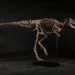 Un esqueleto de Nanotyrannus se vende por 47,3 millones en una subasta en Nueva York